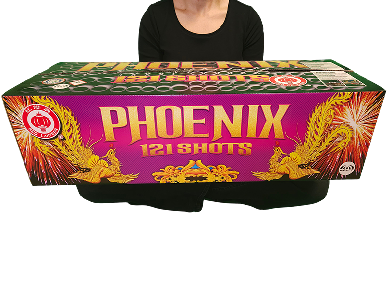 phoenix - voorzijde 2